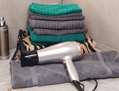 Apartment UG, Ausstattung Duschbad